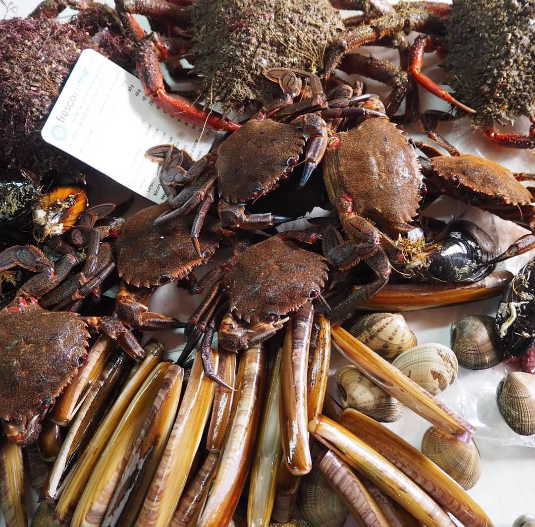 Marisco da Costa da Morte