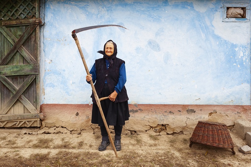 Accésit En el campo