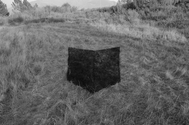 2º premio Estructura dual