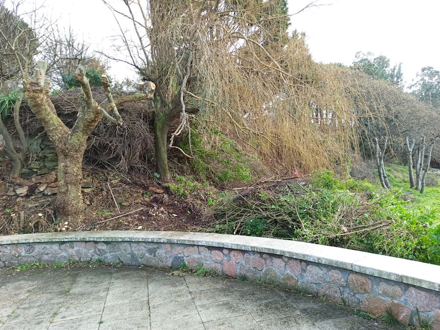 limpeza Castro Lingunde 3