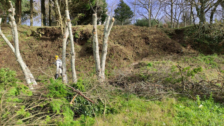 limpeza Castro Lingunde