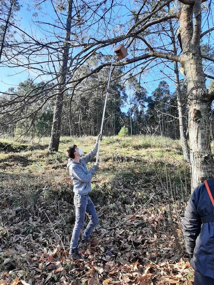 Hotel para paxaros no Monte Cambeiro