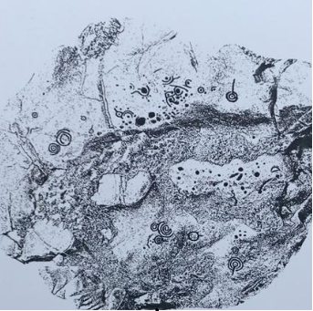 Calco dos 4 paneis de petróglifos, de Pedrouzo 1