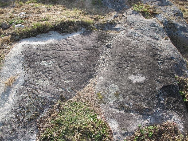 Vista xeral da estación de Pedrouzo 2,  en Berdoias