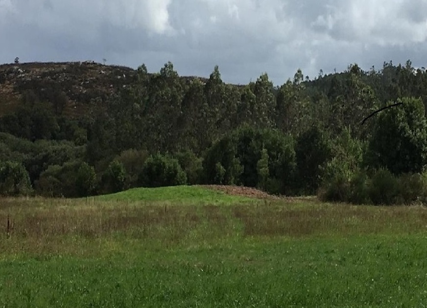 7 Mámoa de Freáns, foto de Manuel Rial copia 2