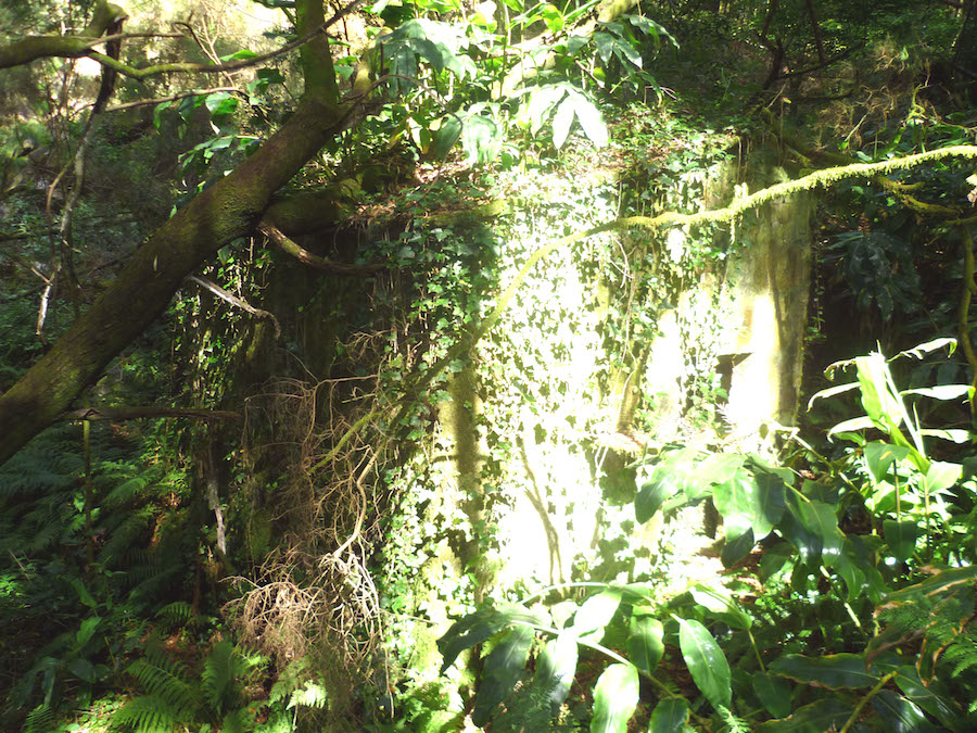 50.- Muíño de Carreira (Miñóns) copia