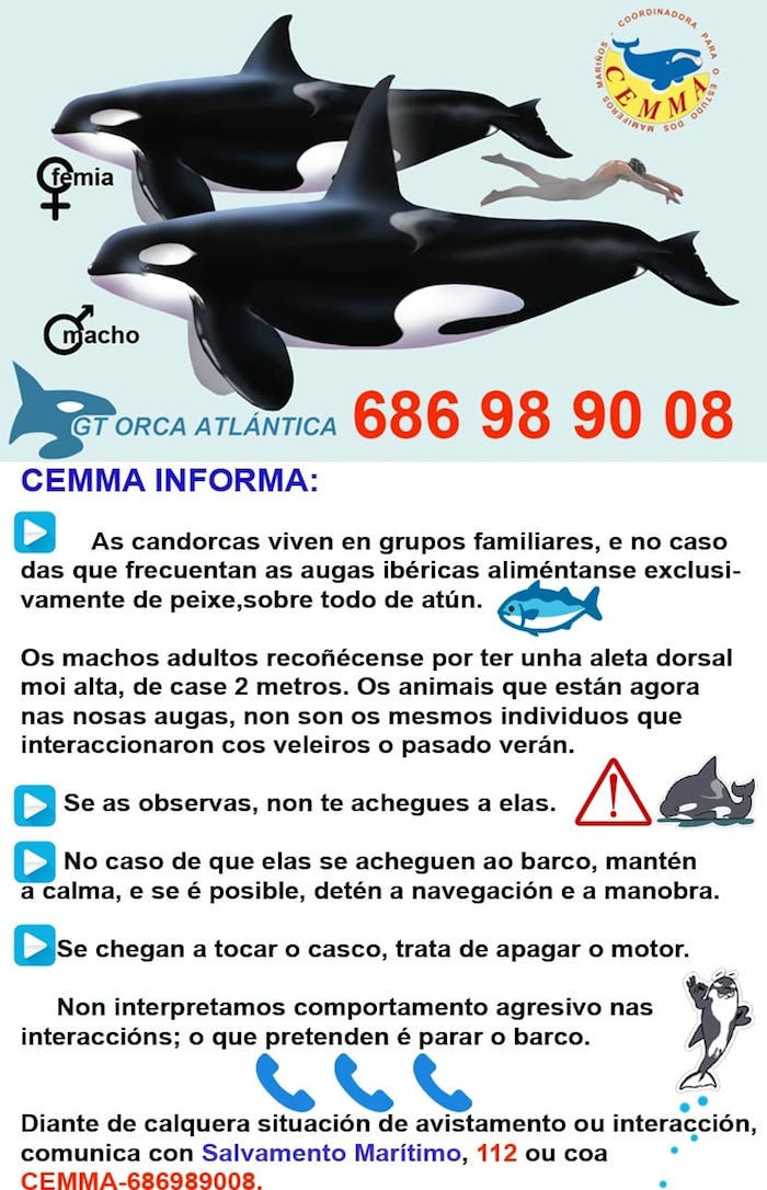 Candorcas CEMMA