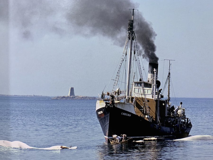 O buque baleeiro LObeiro-Libro Chiman