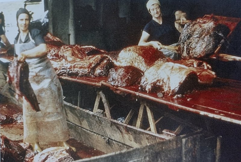 Josefina Outes e Marisa Pineiro en 1976 na Baleeira de Canelinas