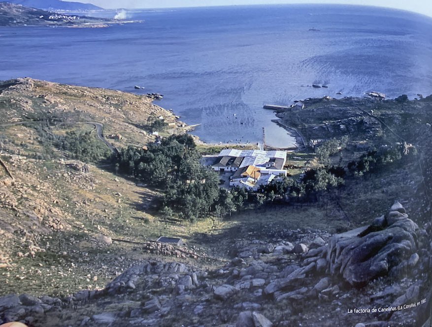 Factoria da Baleeira de Canelinas en 1982