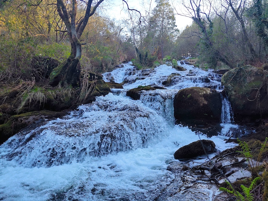 Fervenza do Rabinoso en Zas