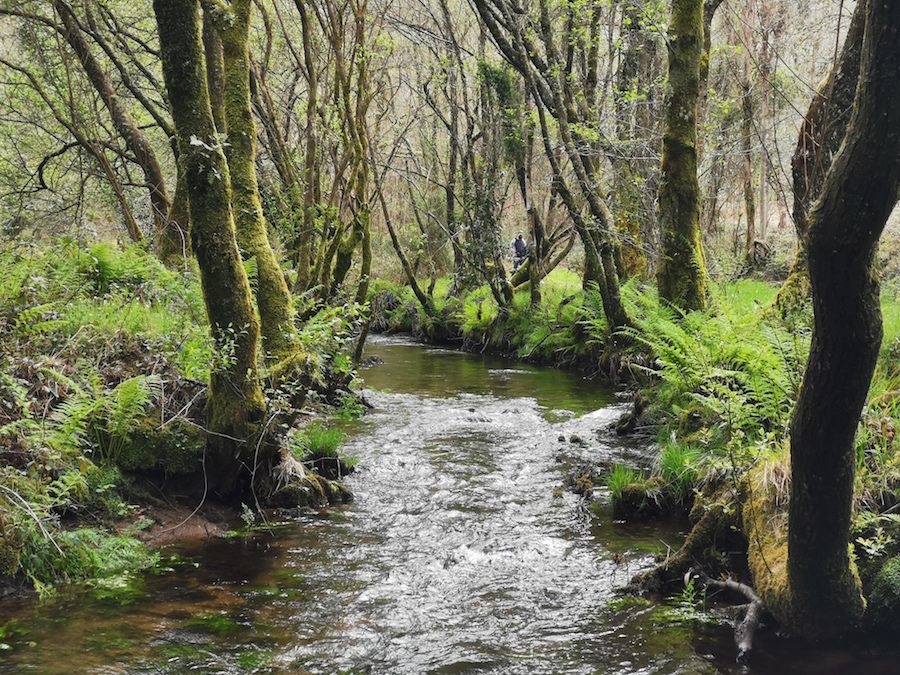 Rio Parga ao caron da Fervenza de Parga
