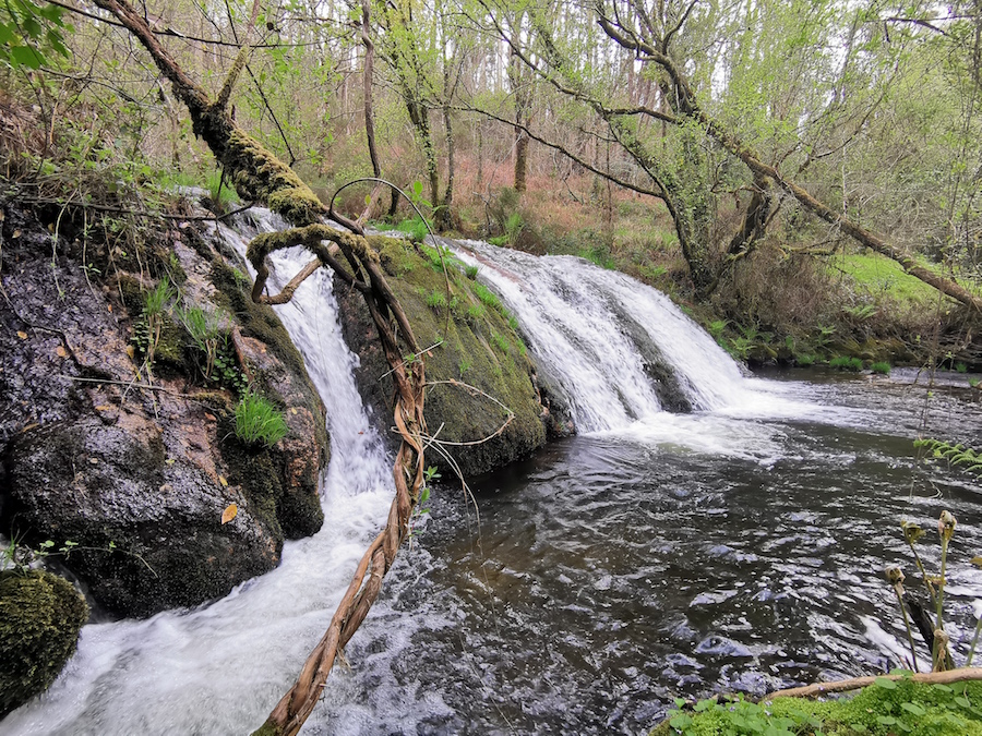 Fervenza de Parga-Zas