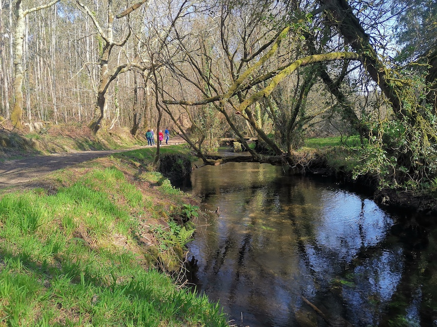 Estampa fluvial na Ruta da Auga de Zas preto da Ponte do Sisto