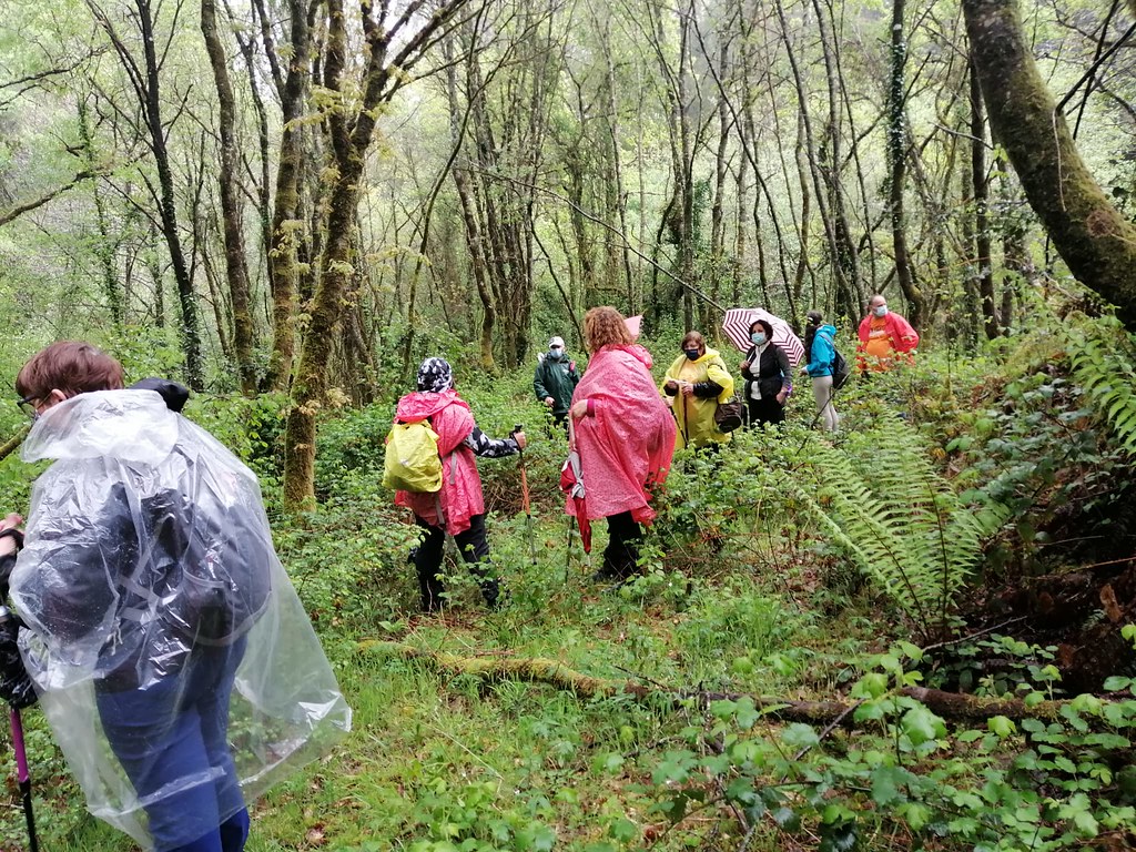 Bosque da Ribeira da Pena-Senda Nova