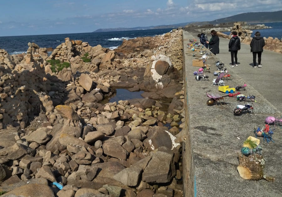 Formigas no Xardin de Man