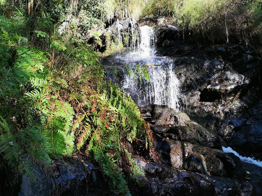 Recunchos da Costa-Ferveda de Rus 2