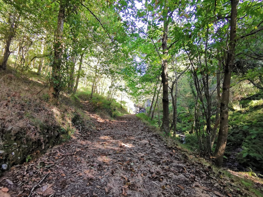 Camino a Ferveda de Rus