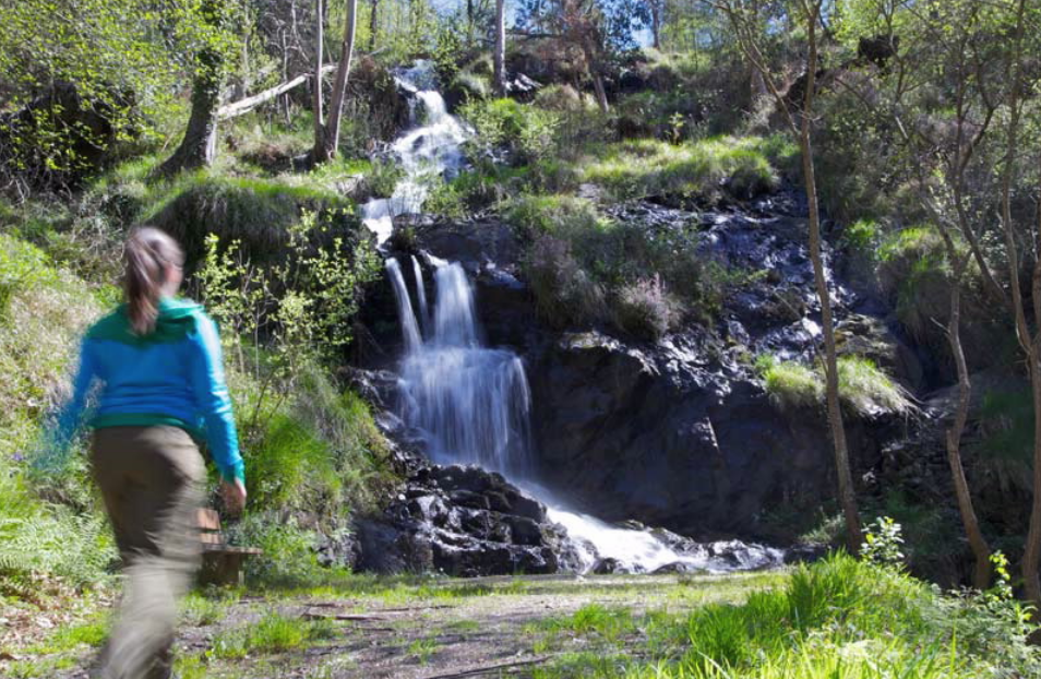 Ferveda de Rus-Carballo copia