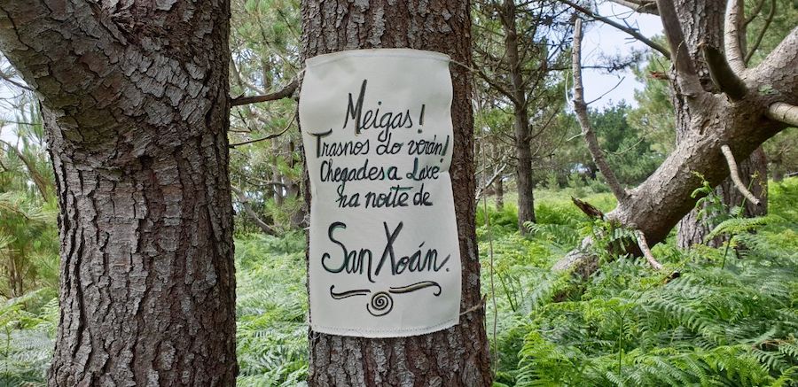 Meigas no bosque da Insua