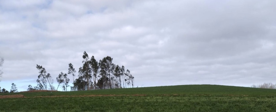 Necropole da Arca da Campara