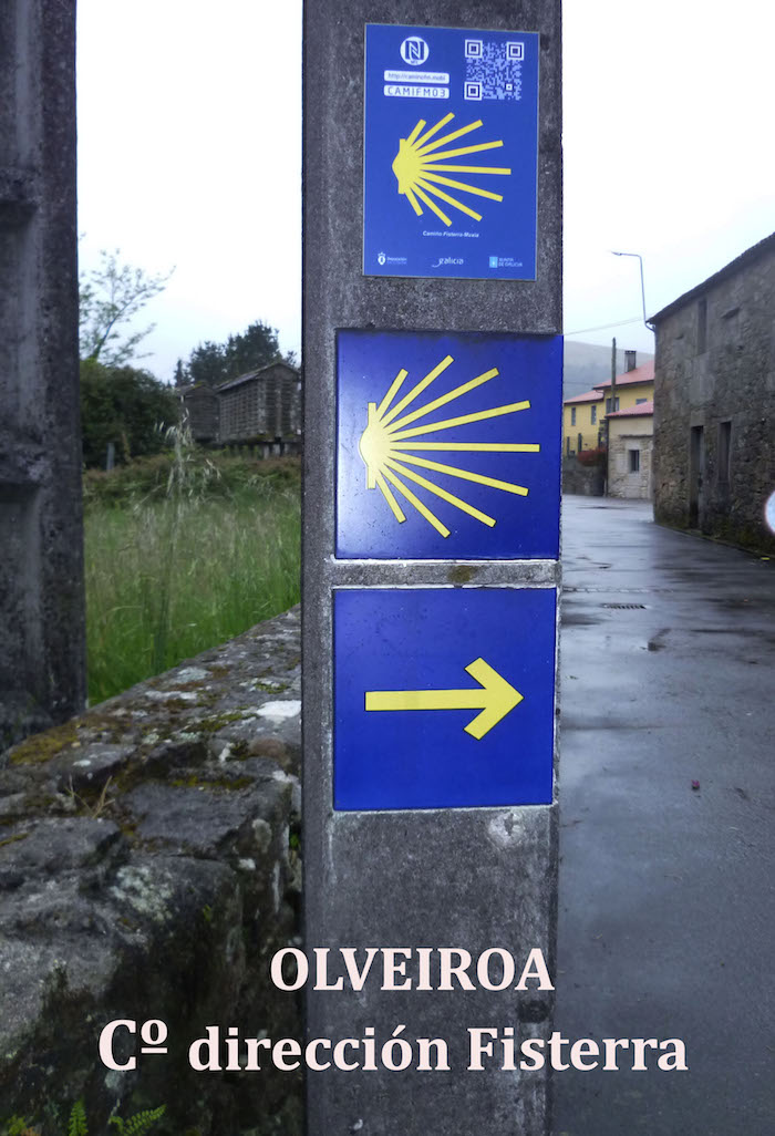 Mojon no Camino Olveiroa-Fisterra copia