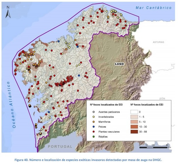 Mapa da invasion de eucaliptos na Costa da Morte