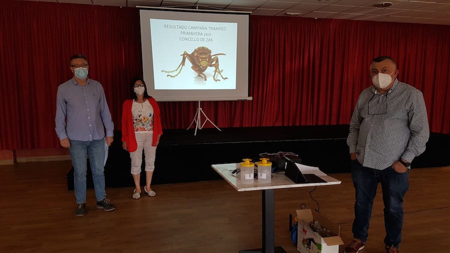 Peche-campana-trampeo-vespa-velutina-concello-zas1