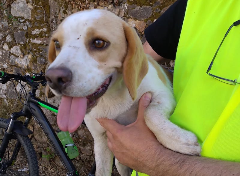 AeS BTT Cadeliña Esteiro copia