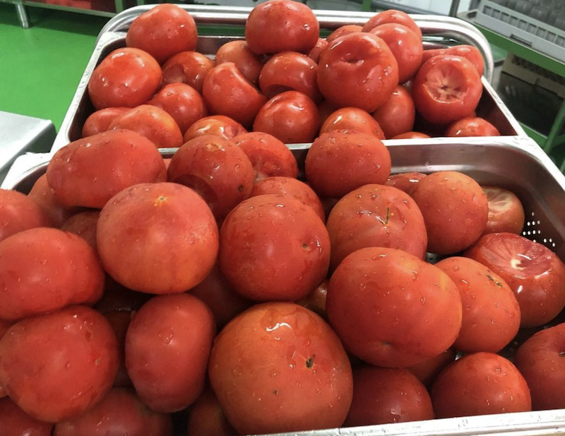 Tomates de proximidade nos Ecocomedores 
