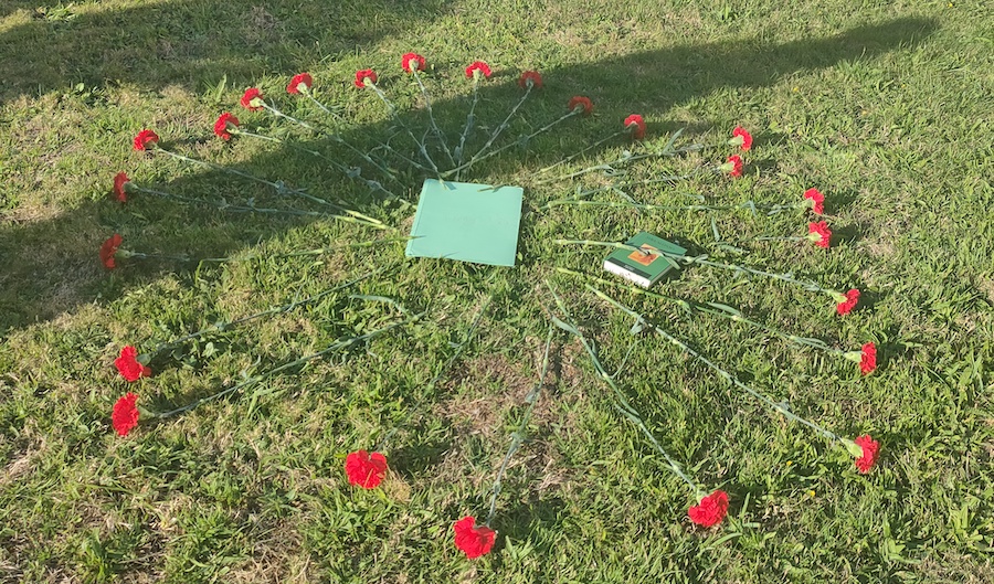 Ofrenda Floral de Lumieira