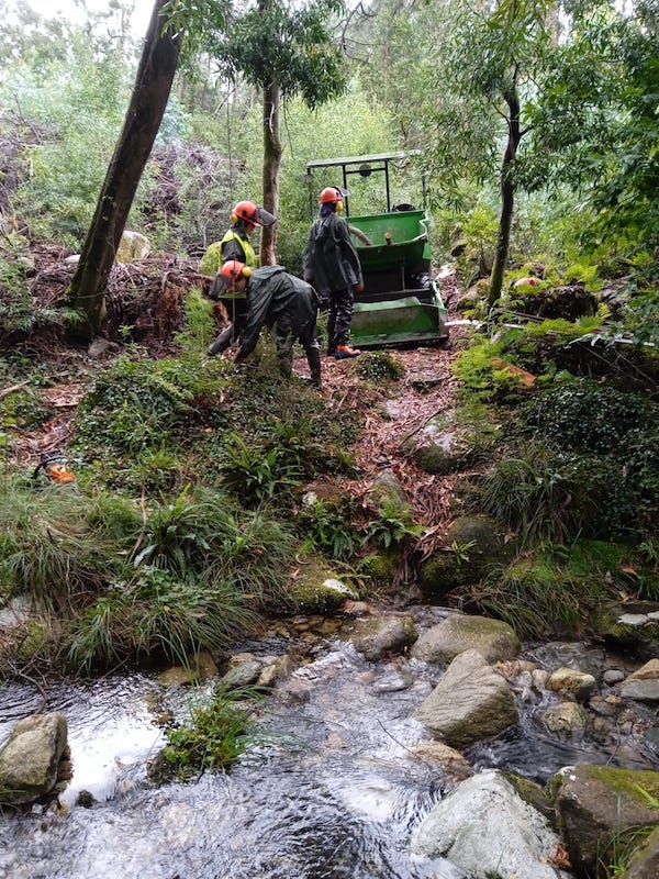 Limpeza Rios en Carnota