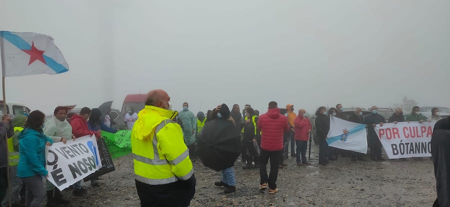 Manifa paxareiras eolicos