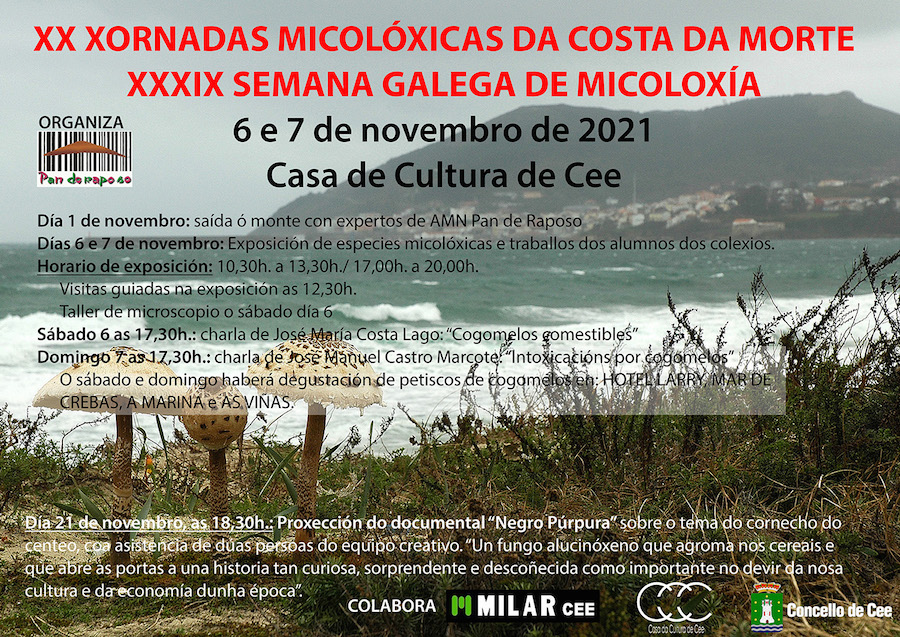 CARTEL XX XORNADAS MICOLOXICAS-2021-baja