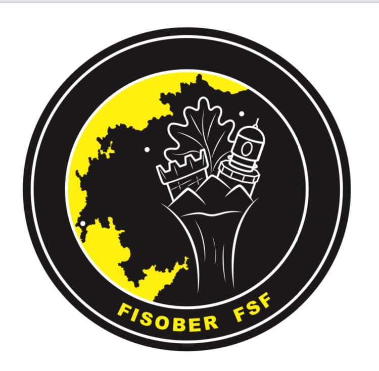 evolución do escudo