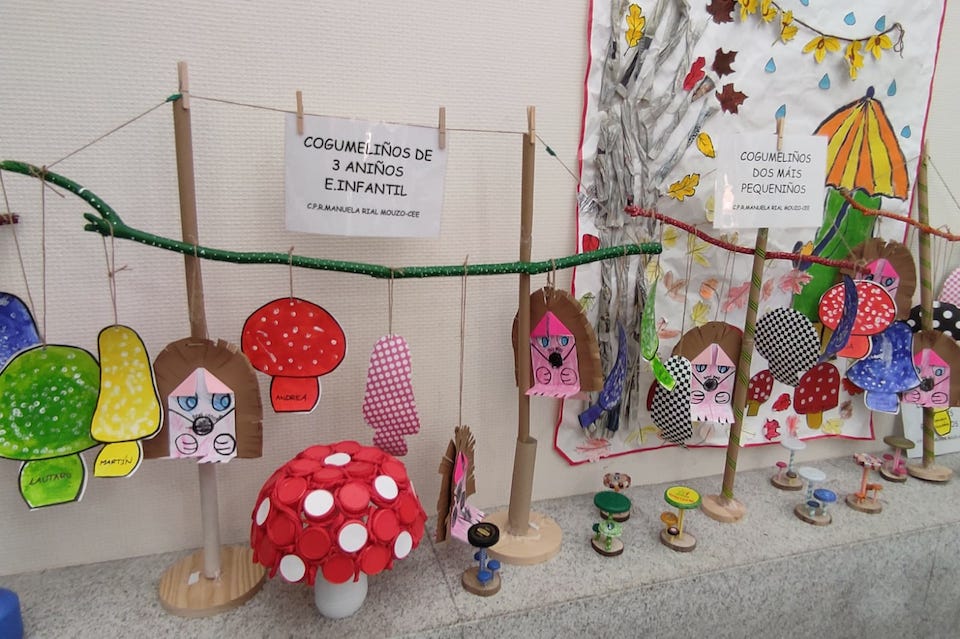 Traballos escolares micoloxicos-Foto-Rafa Quintans