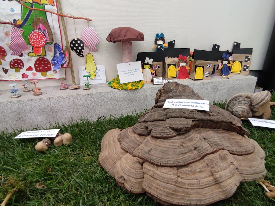 Xornadas Micoloxicas Cee 1-Foto-Rafa Quintans