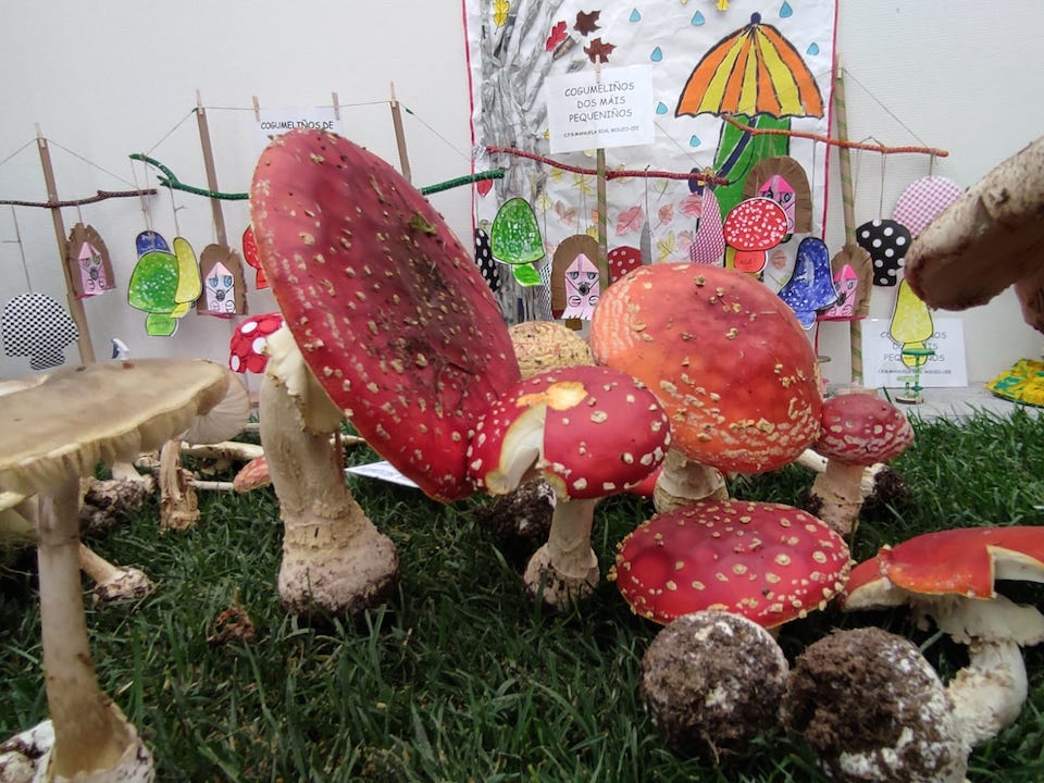 Xornadas cogumelos Cee-Foto-Rafa Quintans