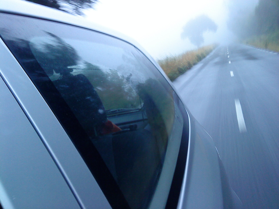 Quercus Pubens de Fornelos 1