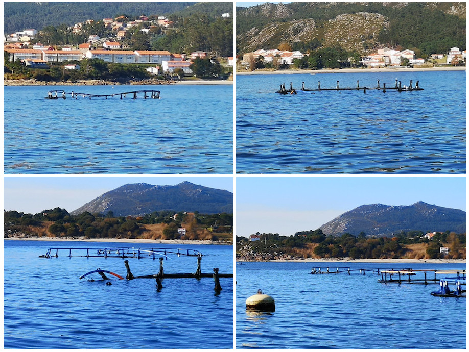 Xaulas de Salmon abandonadas na ria de Muros