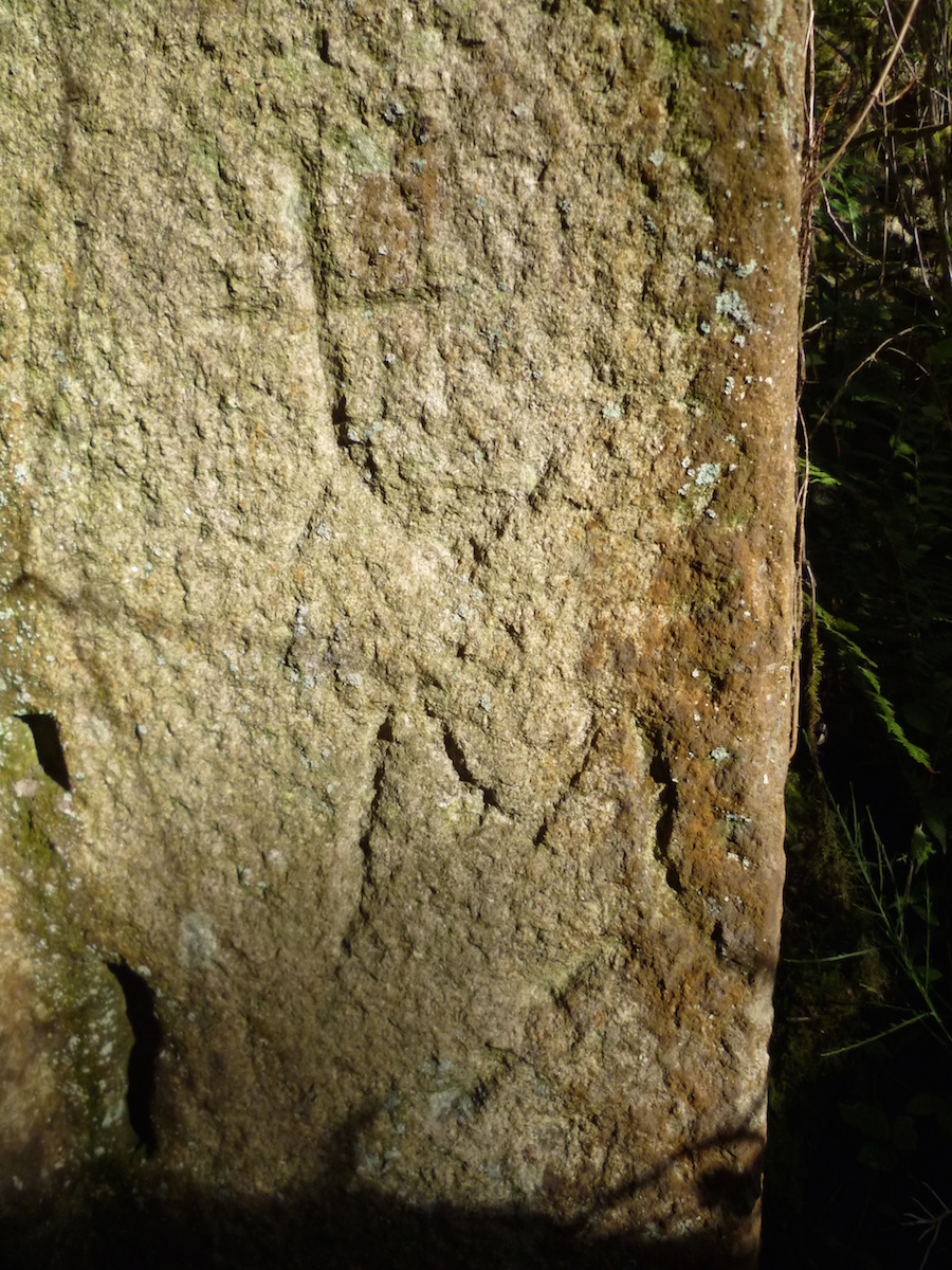 5.- M. da Xerpe-Bustelo