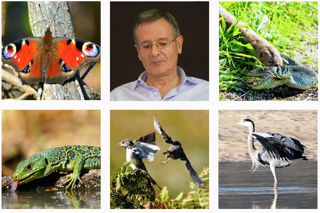 Fotos de Tino CarnotaNatura
