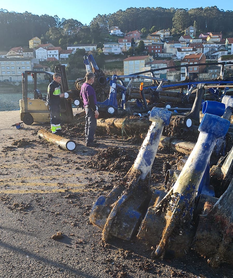 Desmantelando as gaiolas de salmon de Muros