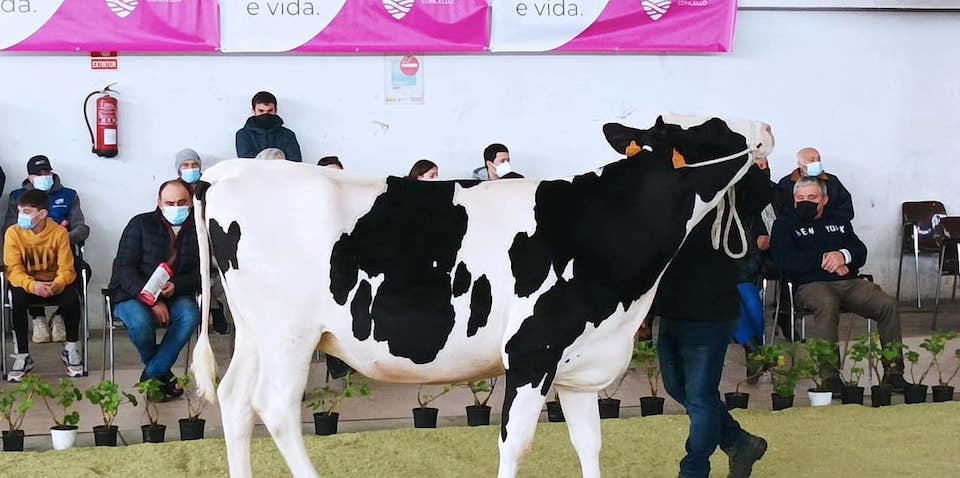 Poxa de Xovencas SAnta Comba 202