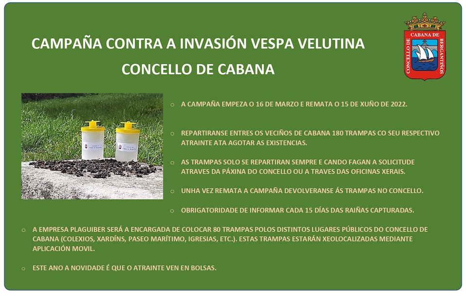 CampañaVelutinaCabana