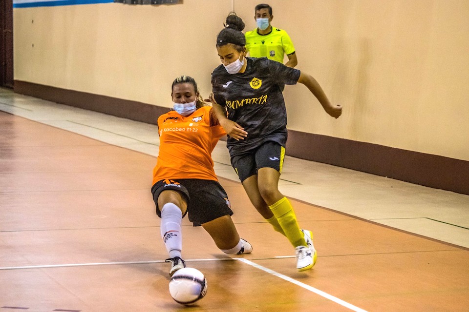 amarellefsfB-fisober_22 copia