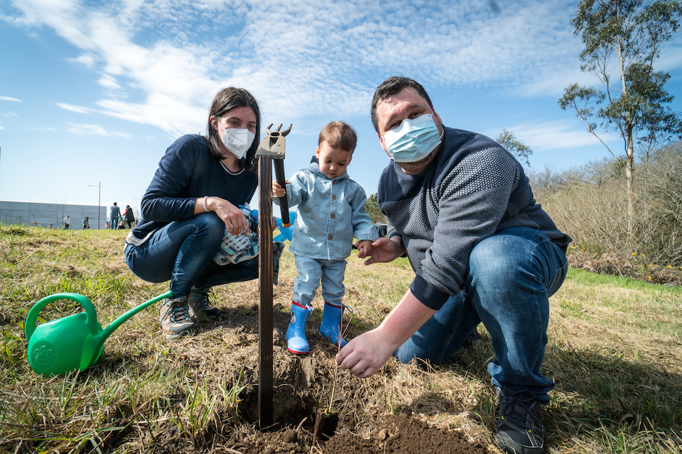 DÍA DA ARBORE-4 Carballo