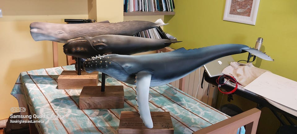 Expsicion de Xose Iglesias en Pasaia