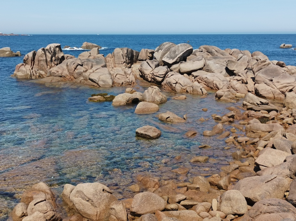 Aquí hay dinosaurios