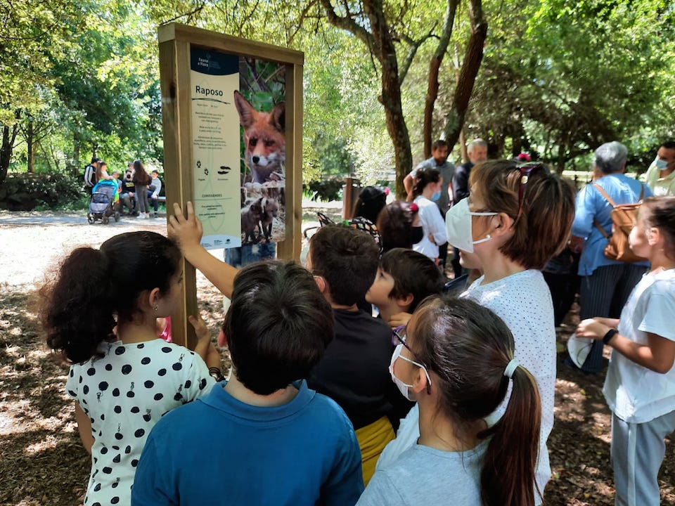 Carballo CEIP dia_medio_ambiente 2